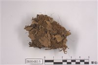 藏品(犬地卷)的圖片